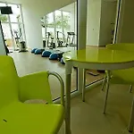 Ginkgo Hódmezővásárhely