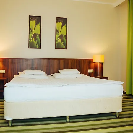 Hotel Ginkgo Hódmezővásárhely