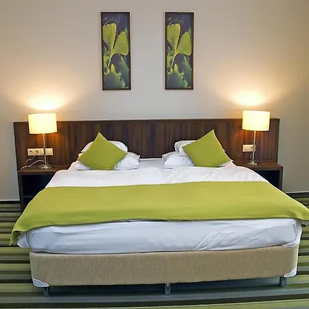 Ginkgo Hotel Hódmezővásárhely