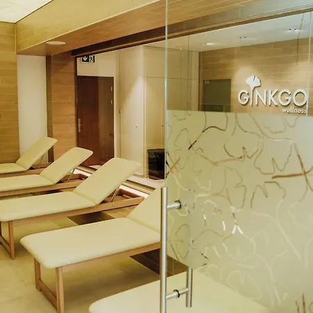 Ginkgo