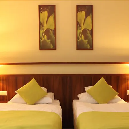 Ginkgo Hódmezővásárhely