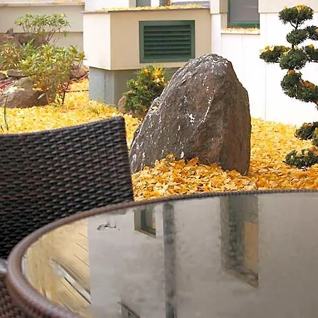Ginkgo Ходмезёвашархей