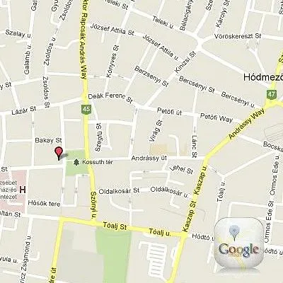 Hotel Ginkgo 4*