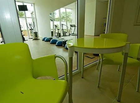 Ginkgo Hódmezővásárhely