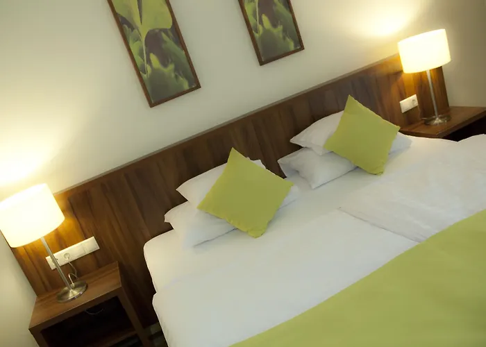 Ginkgo 4* Hodmezovasarhely