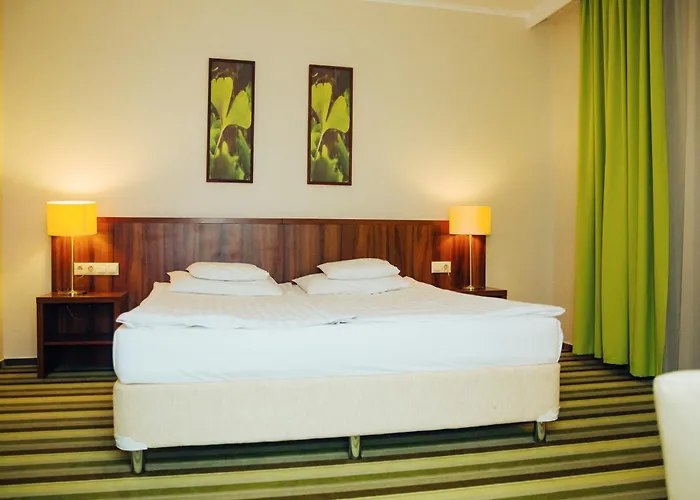 Hotel Ginkgo Hodmezovasarhely