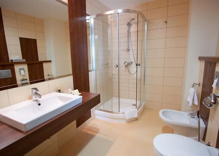 Ginkgo Hotel Hodmezovasarhely