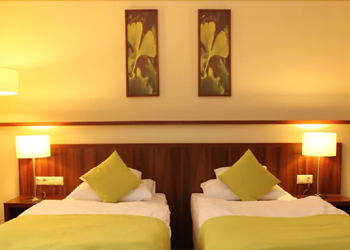 Ginkgo Hódmezővásárhely