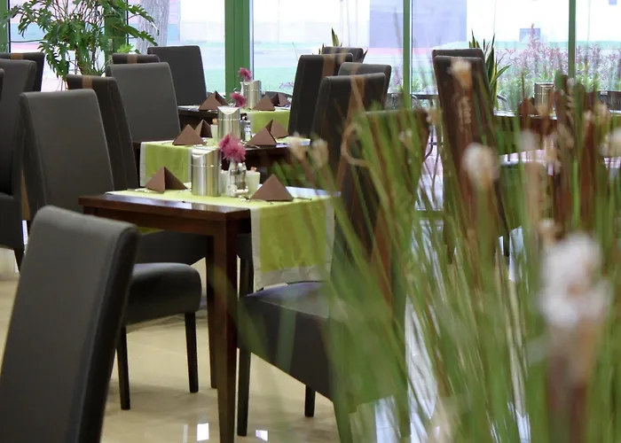 Ginkgo Hódmezővásárhely