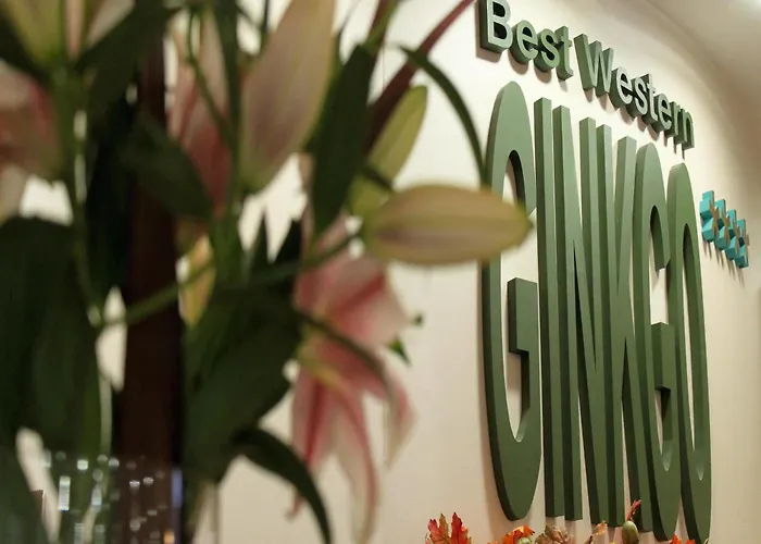 Ginkgo 4* Hódmezővásárhely