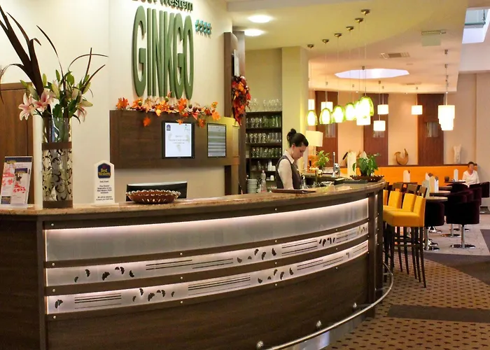 Ginkgo Hódmezővásárhely